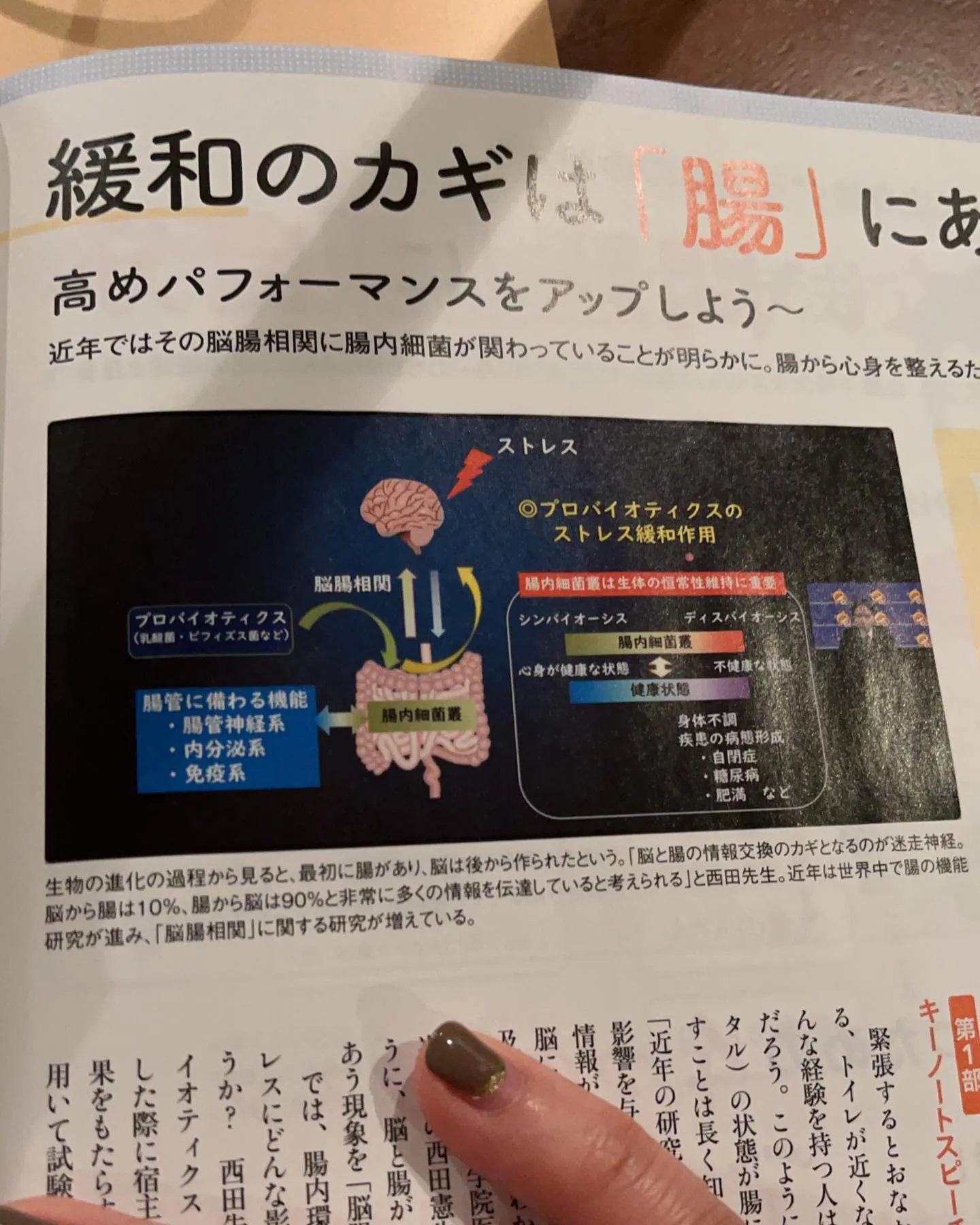 「脳腸相関」とは？