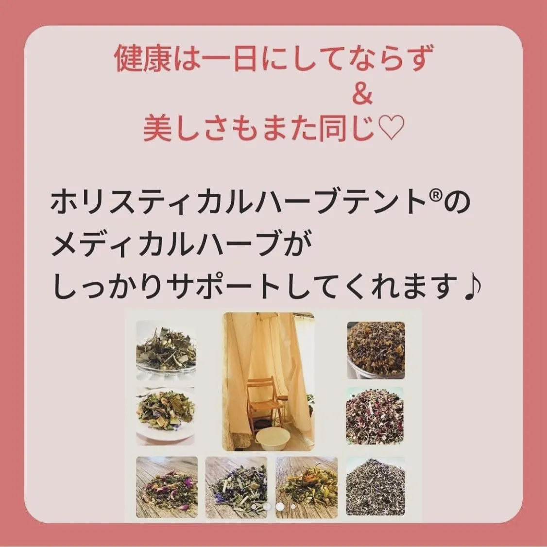 無農薬、無添加のハーブを使用した